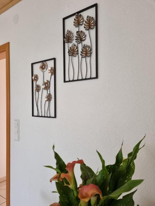 Ferienwohnung Seeblick Pfullendorf Exterior photo
